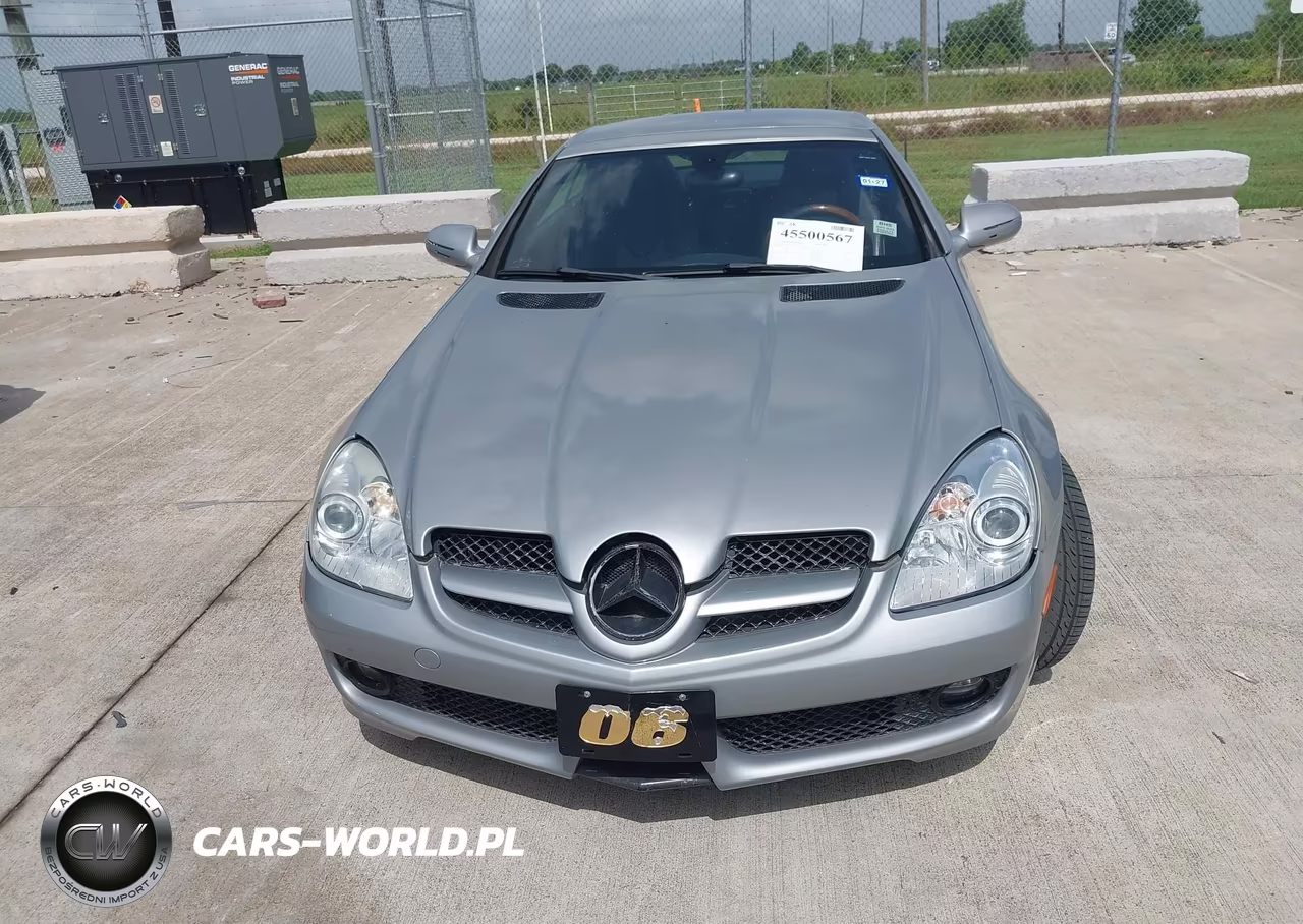 2010 Mercedes-Benz Slk 300 VIN:WDBWK5EA0AF232016 - 12