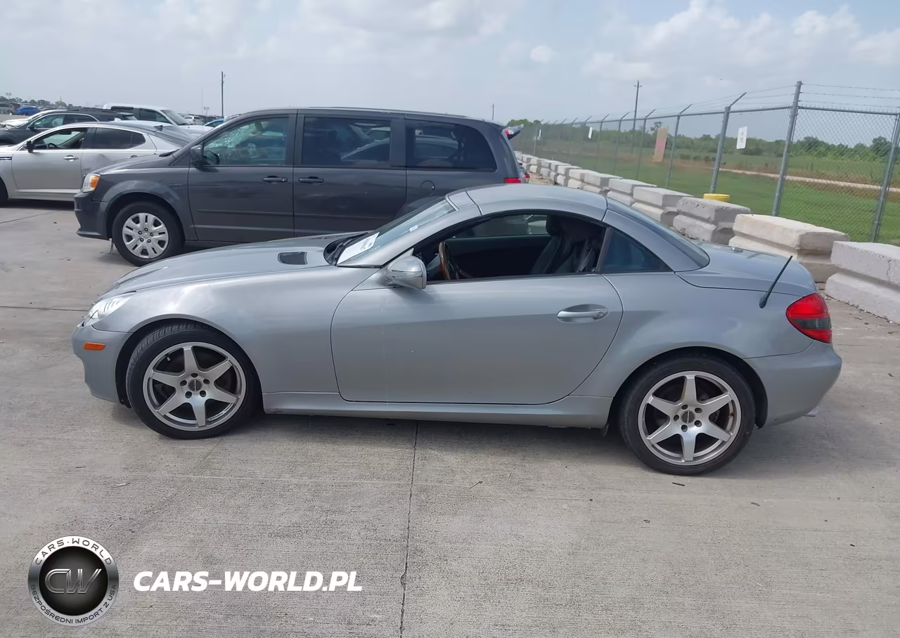 2010 Mercedes-Benz Slk 300 VIN:WDBWK5EA0AF232016 - 14