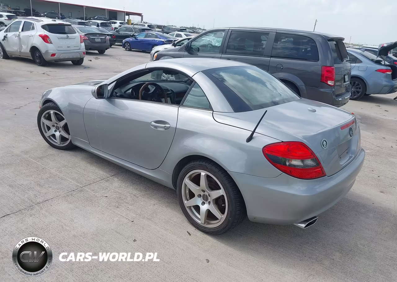 2010 Mercedes-Benz Slk 300 VIN:WDBWK5EA0AF232016 - 3