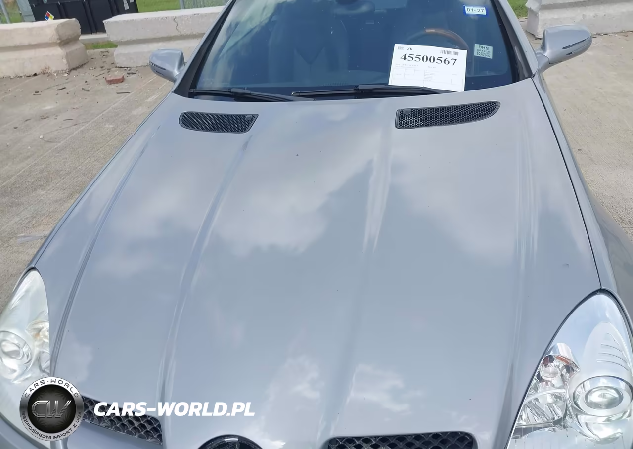 2010 Mercedes-Benz Slk 300 VIN:WDBWK5EA0AF232016 - 6