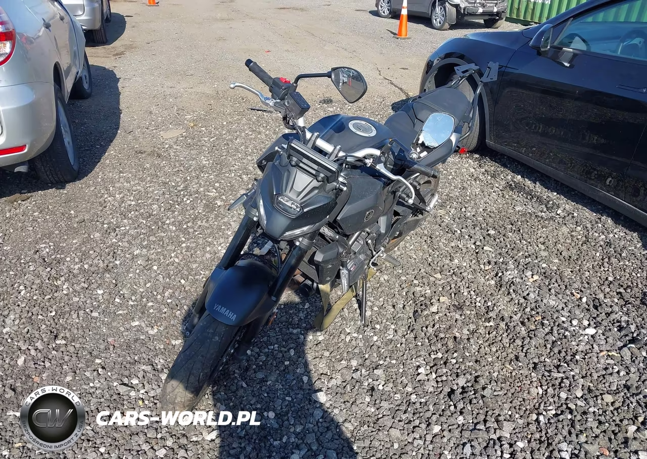 2025 Yamaha Mtn690 VIN:JYARM48E9SA002888 - 2