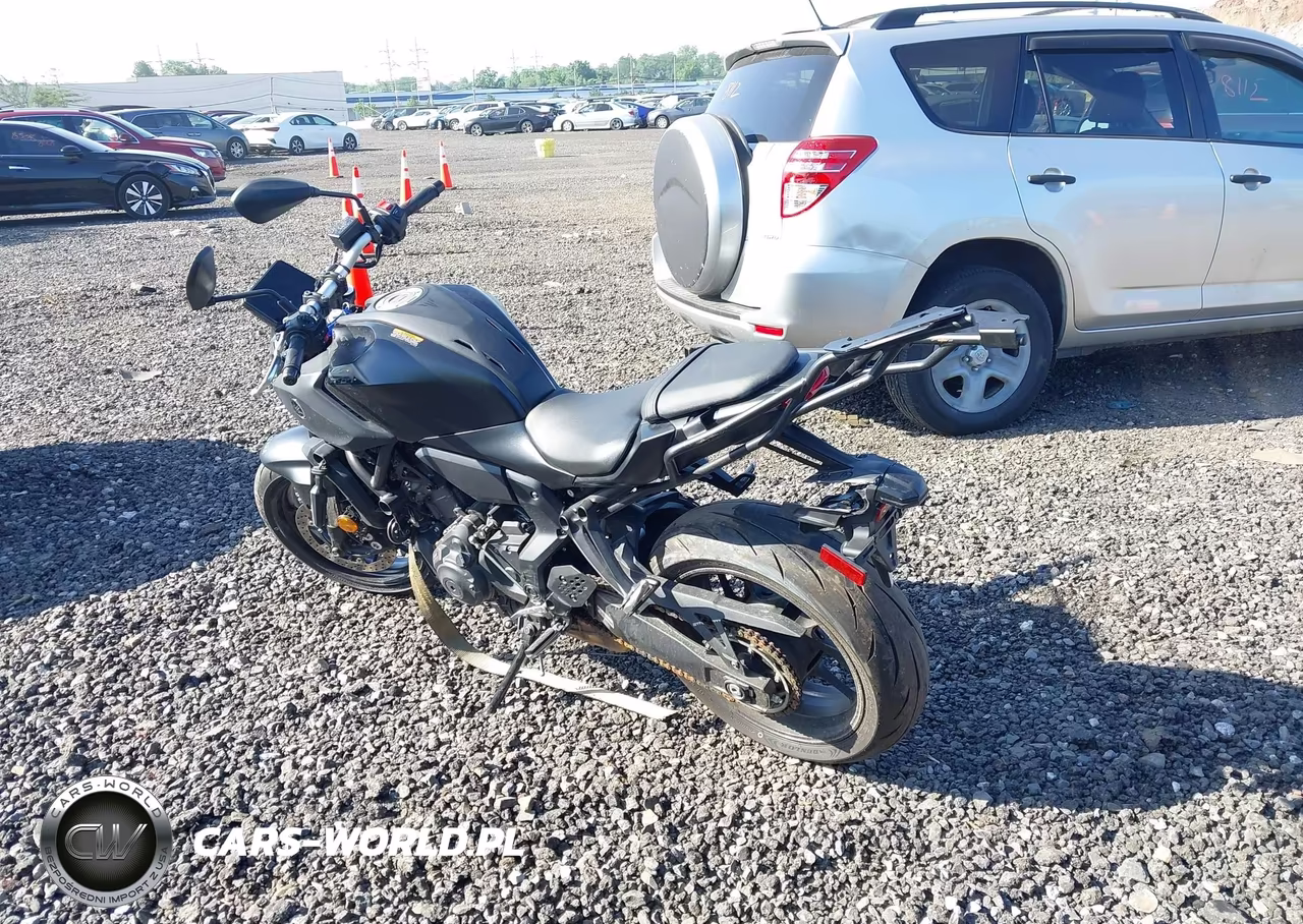 2025 Yamaha Mtn690 VIN:JYARM48E9SA002888 - 3
