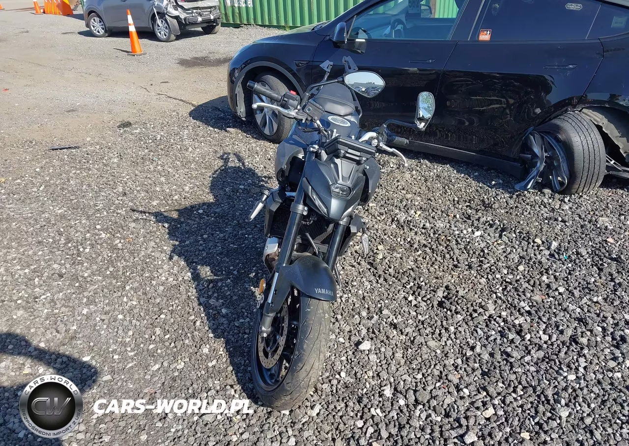 2025 Yamaha Mtn690 VIN:JYARM48E9SA002888 - 5