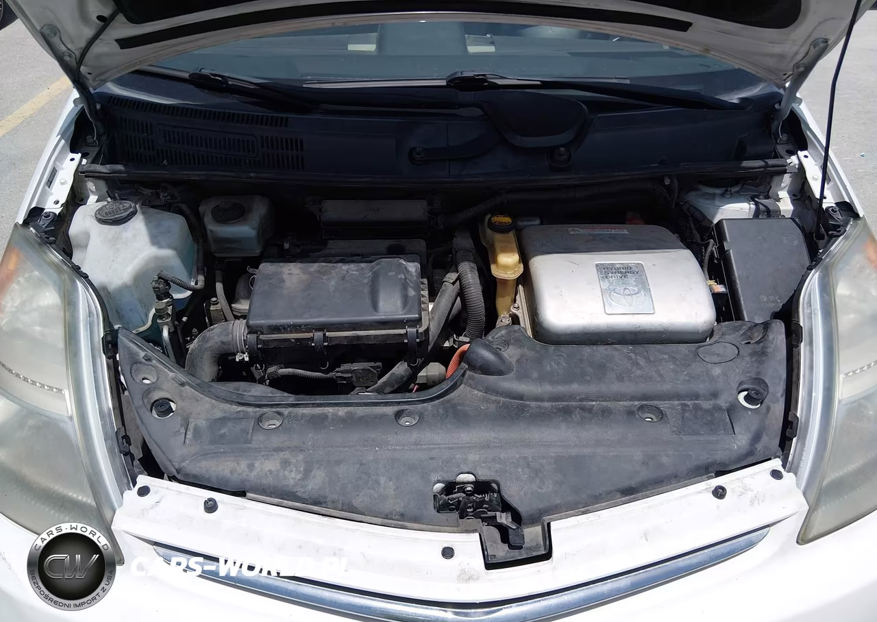 2008 Toyota Prius VIN:JTDKB20U383312664 - 10