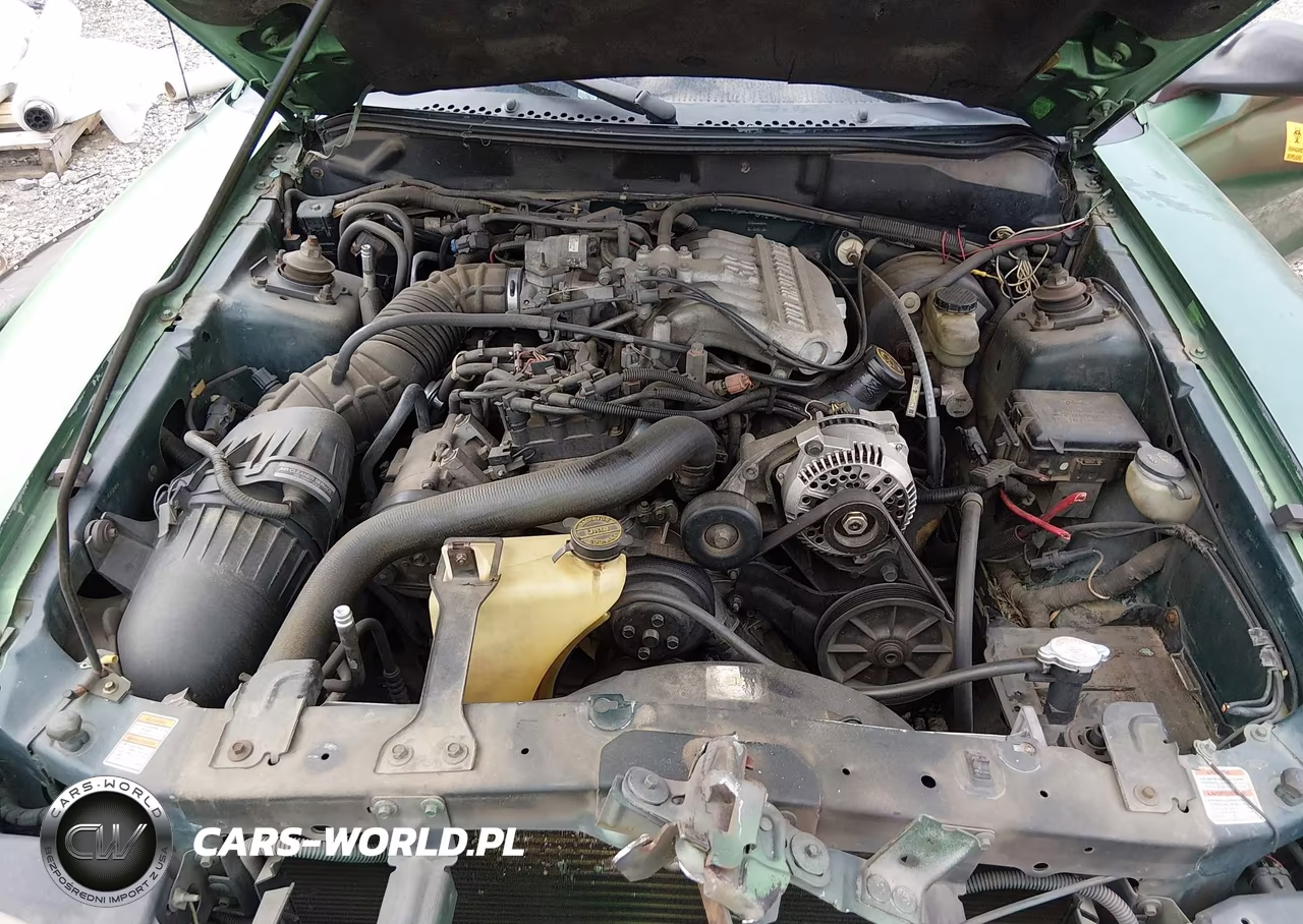 1998 Ford Mustang VIN:1FAFP4040WF109621 - 10