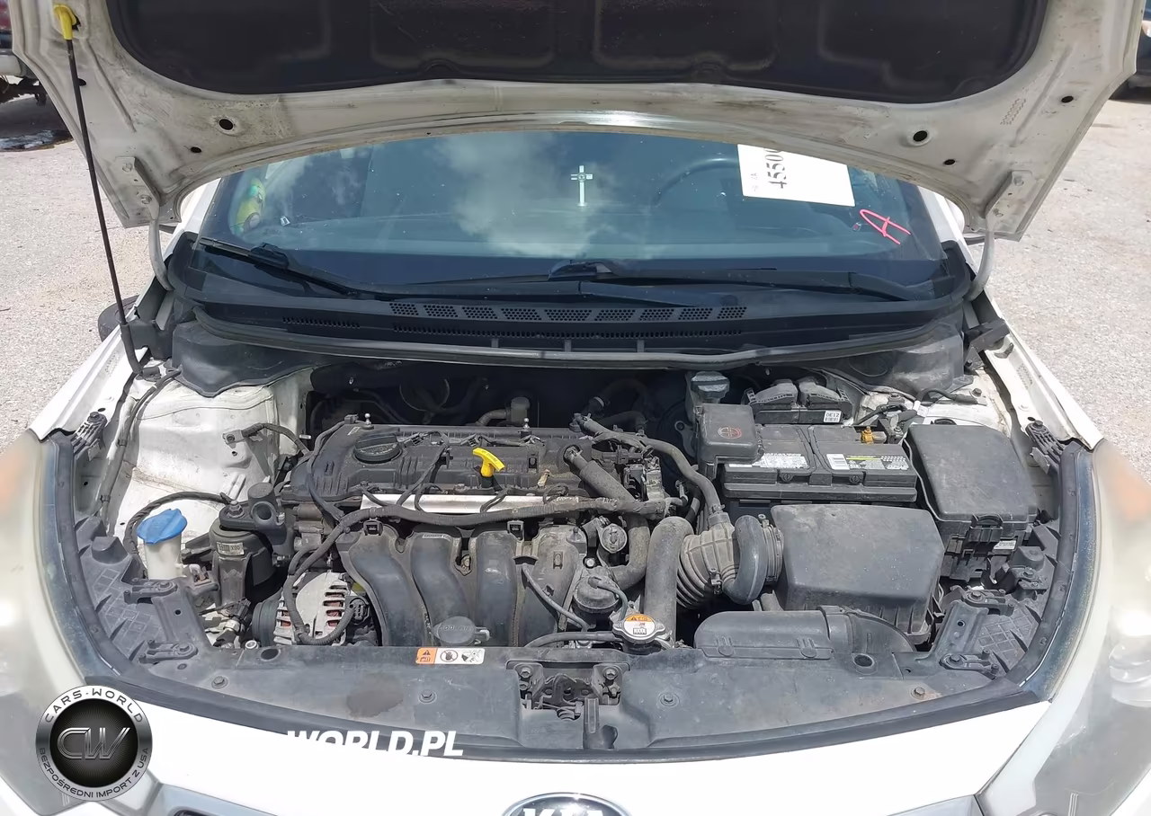 2016 Kia Forte Lx VIN:KNAFX4A69G5502094 - 10