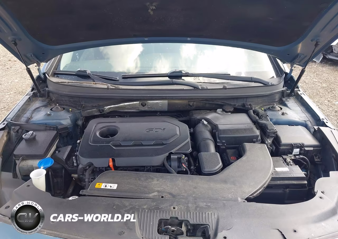 2015 Hyundai Sonata Sport VIN:5NPE34AF9FH134783 - 10
