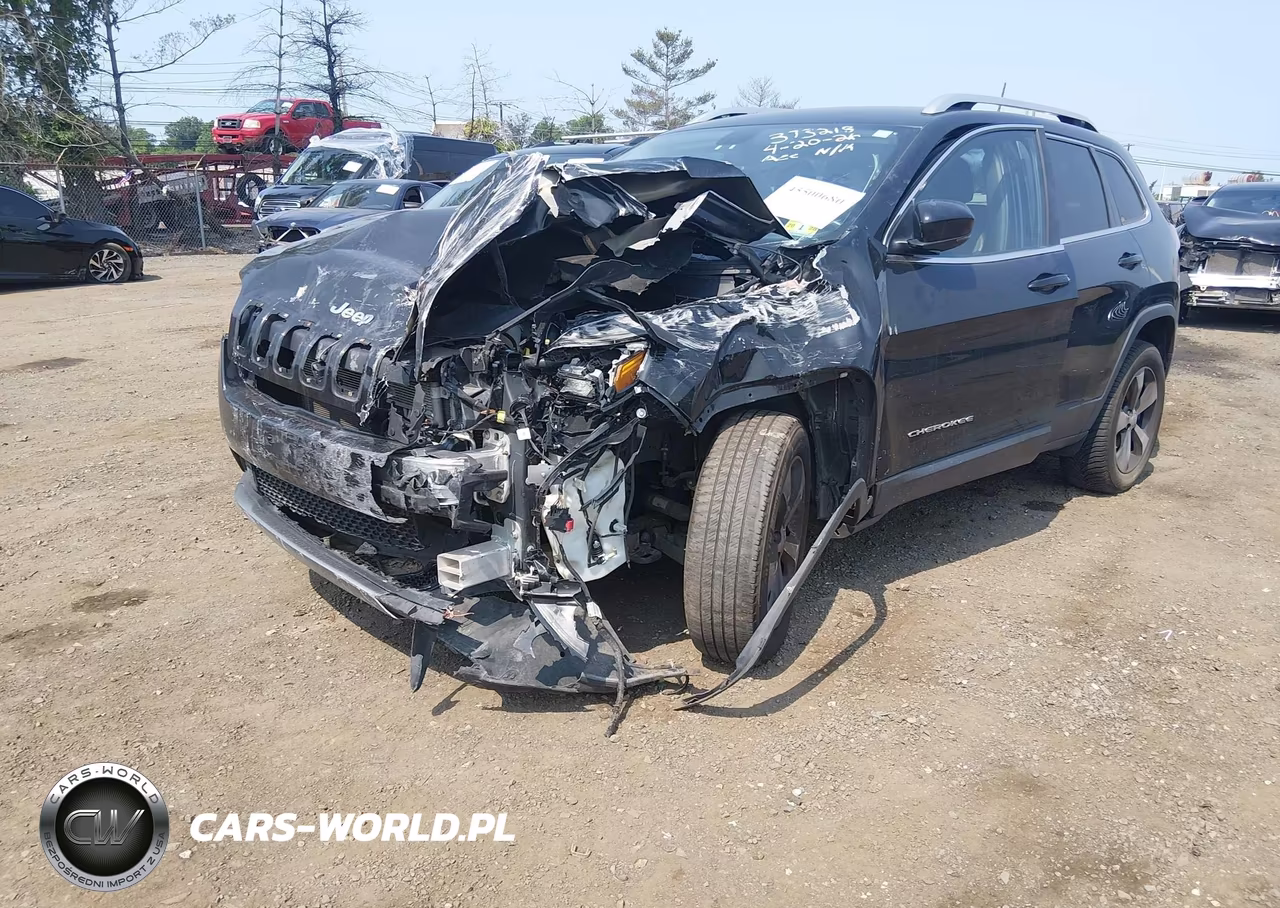 2019 Jeep Cherokee Limited 4X4 VIN:1C4PJMDX7KD413250 - 2