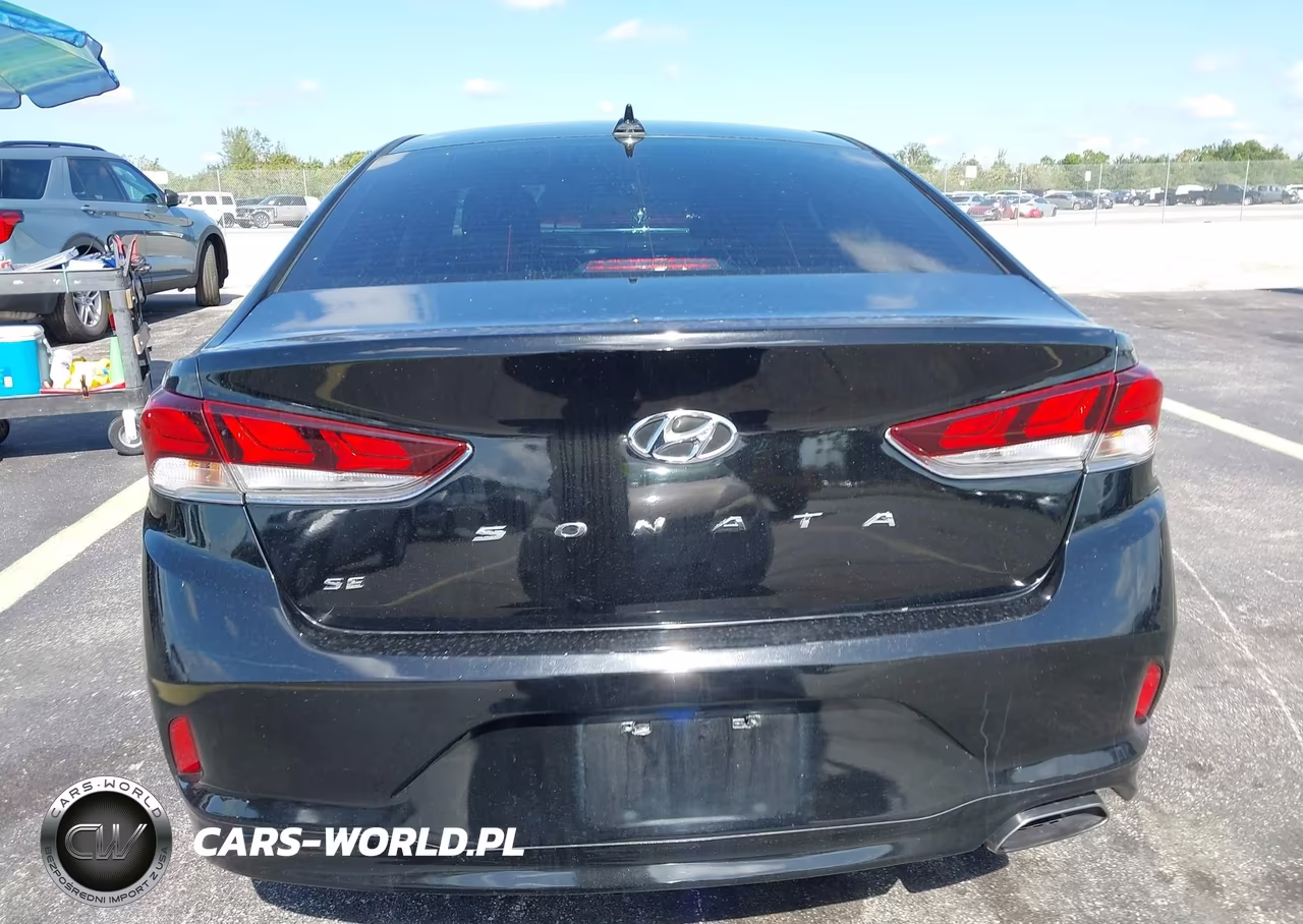 2019 Hyundai Sonata Se VIN:5NPE24AF9KH819413 - 17