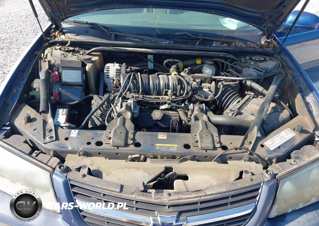 2003 Chevrolet Impala VIN:2G1WF52K139194187 - 10
