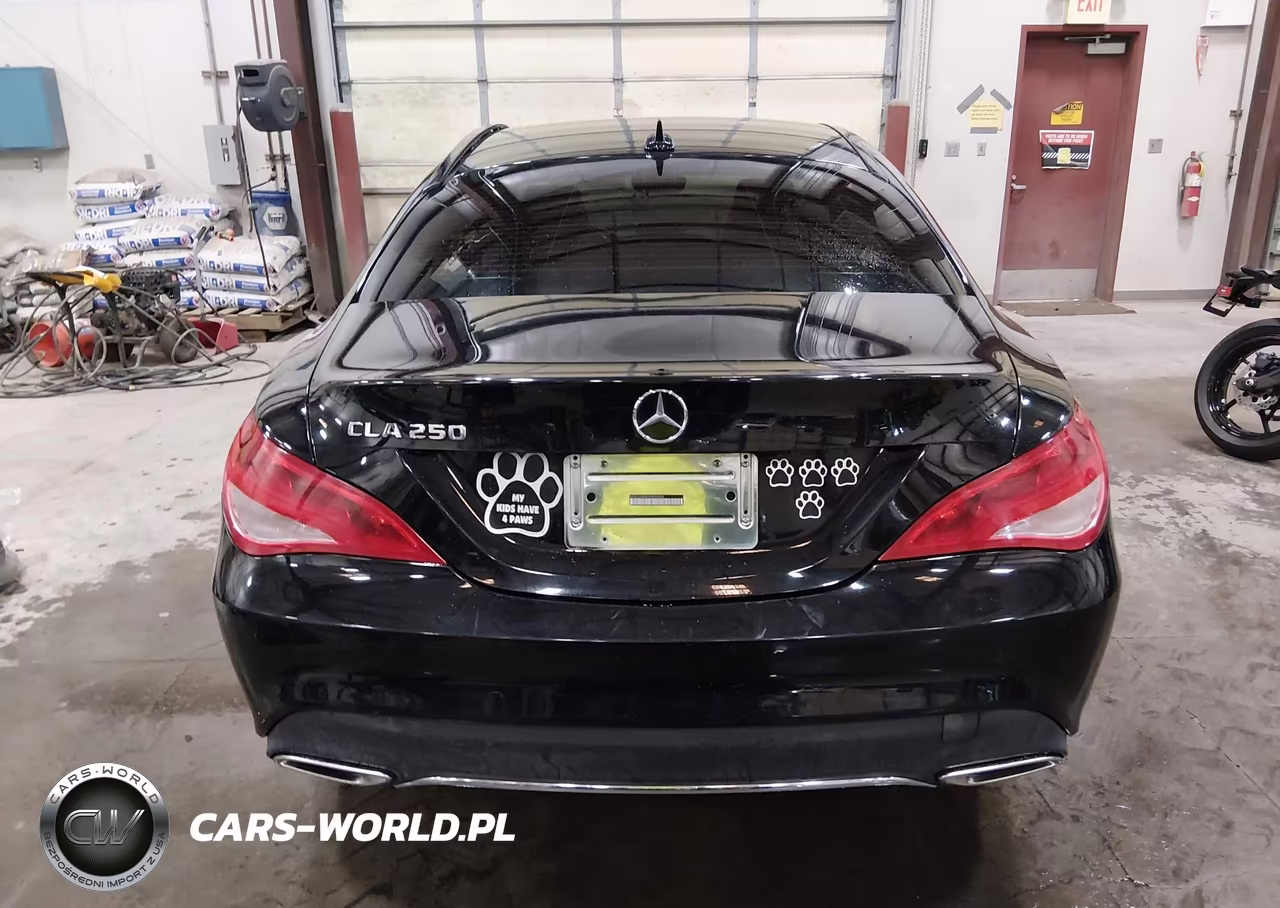 2018 Mercedes-Benz Cla 250 VIN:WDDSJ4EB0JN500886 - 16
