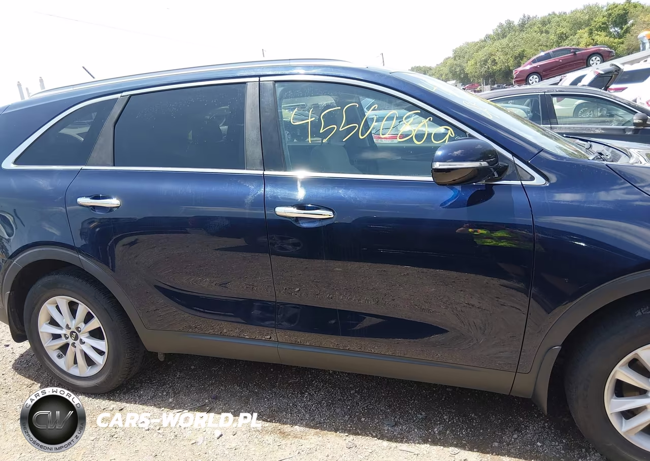 2020 Kia Sorento 2.4L Lx VIN:5XYPG4A39LG623450 - 13