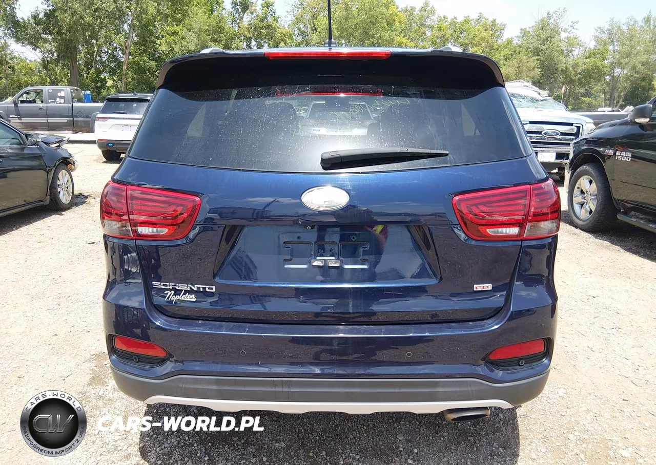 2020 Kia Sorento 2.4L Lx VIN:5XYPG4A39LG623450 - 16