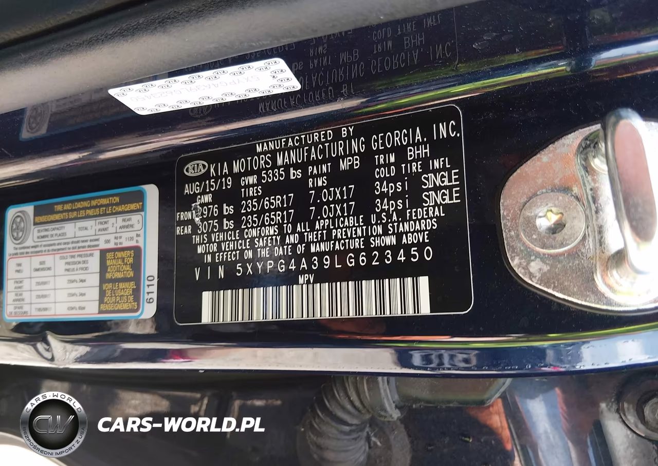 2020 Kia Sorento 2.4L Lx VIN:5XYPG4A39LG623450 - 9