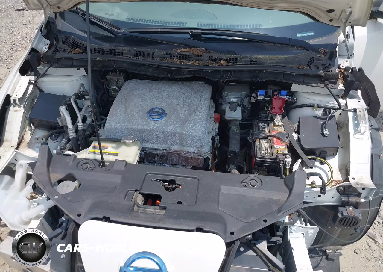 2013 Nissan Leaf Sv VIN:1N4AZ0CP7DC418567 - 10