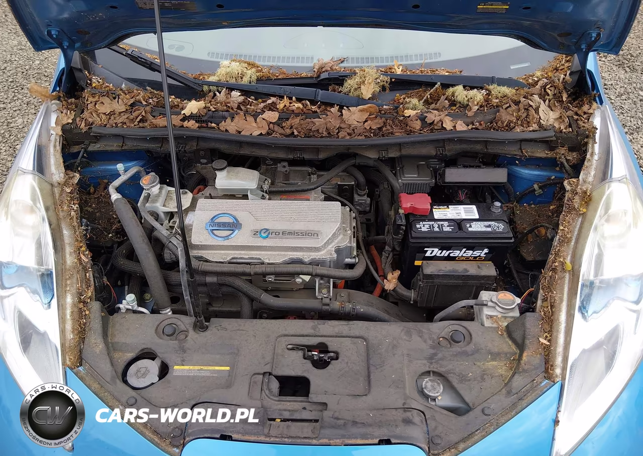 2012 Nissan Leaf Sl VIN:JN1AZ0CP7CT022781 - 10