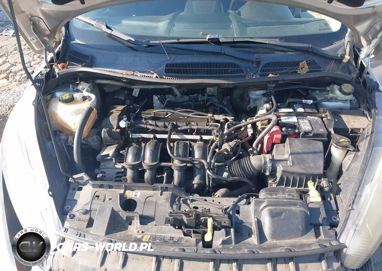 2014 Ford Fiesta Se VIN:3FADP4EJ9EM240387 - 10