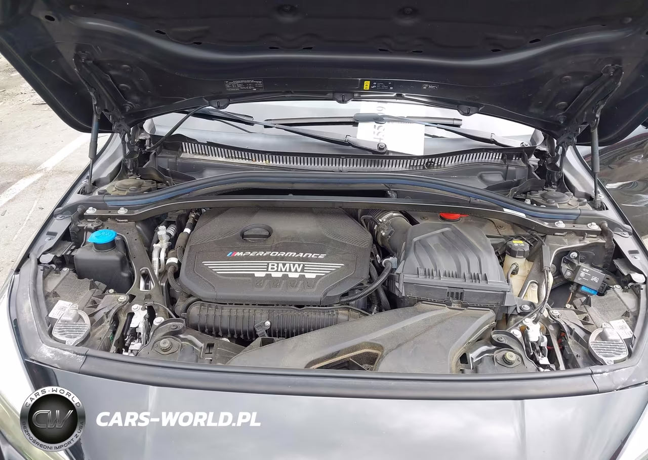 2020 BMW M235I Gran Coupe xDrive VIN:WBA13AL08L7F61037 - 10