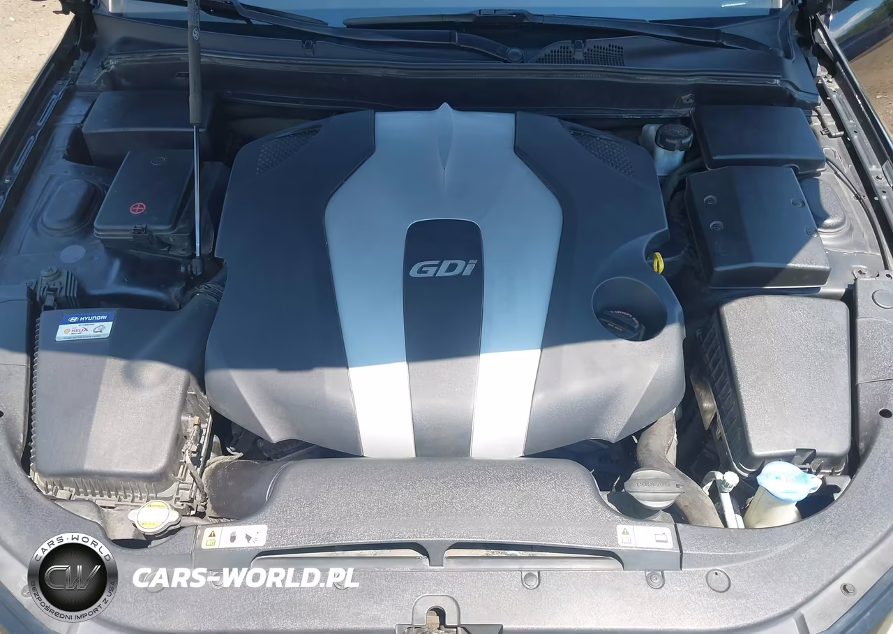 2013 Hyundai Genesis 3.8 VIN:KMHGC4DD3DU249333 - 10