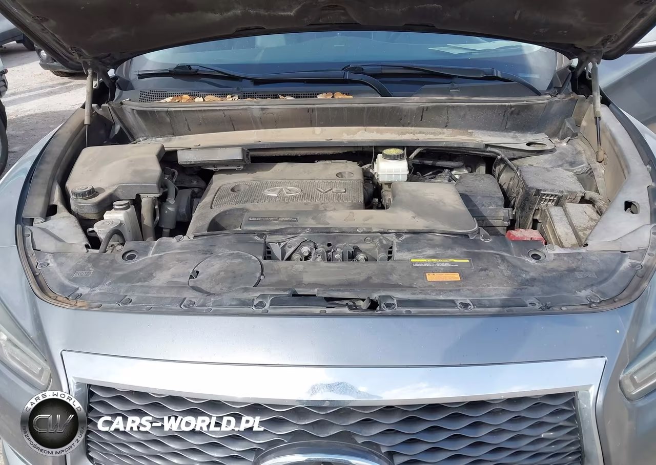 2016 Infiniti Qx60 VIN:5N1AL0MM6GC517753 - 10