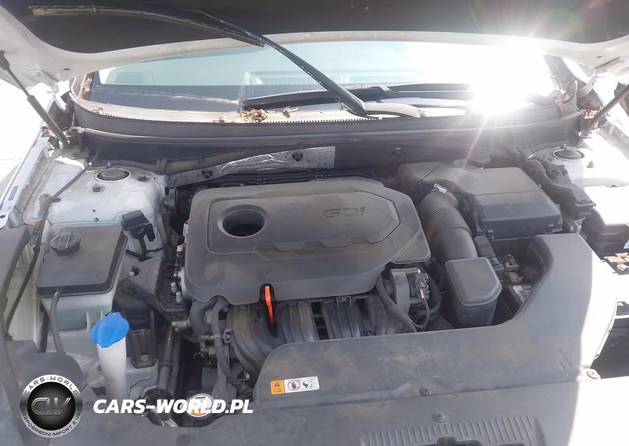 2015 Hyundai Sonata Sport VIN:5NPE34AF3FH110091 - 10