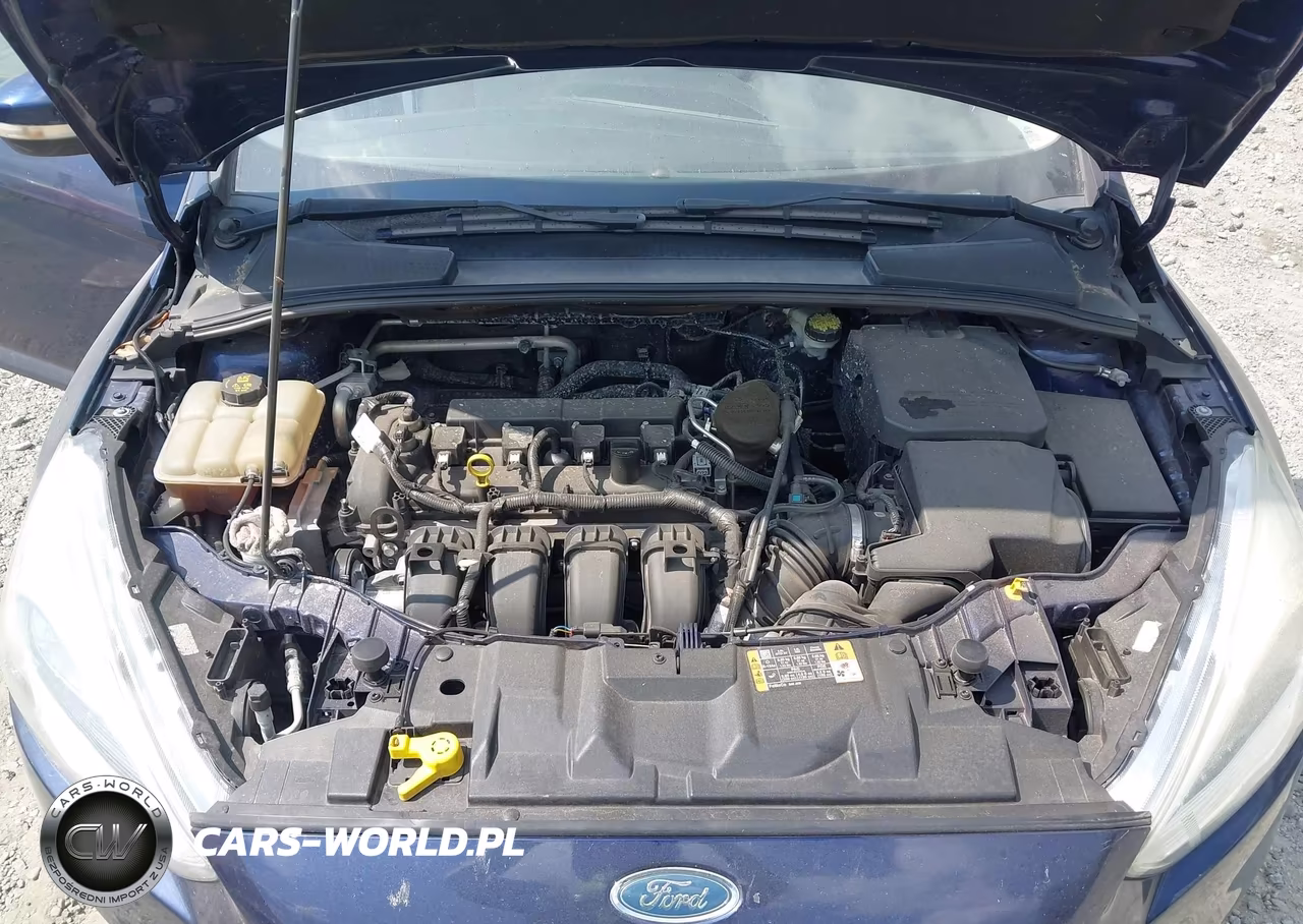 2016 Ford Focus Titanium VIN:1FADP3N26GL273743 - 10