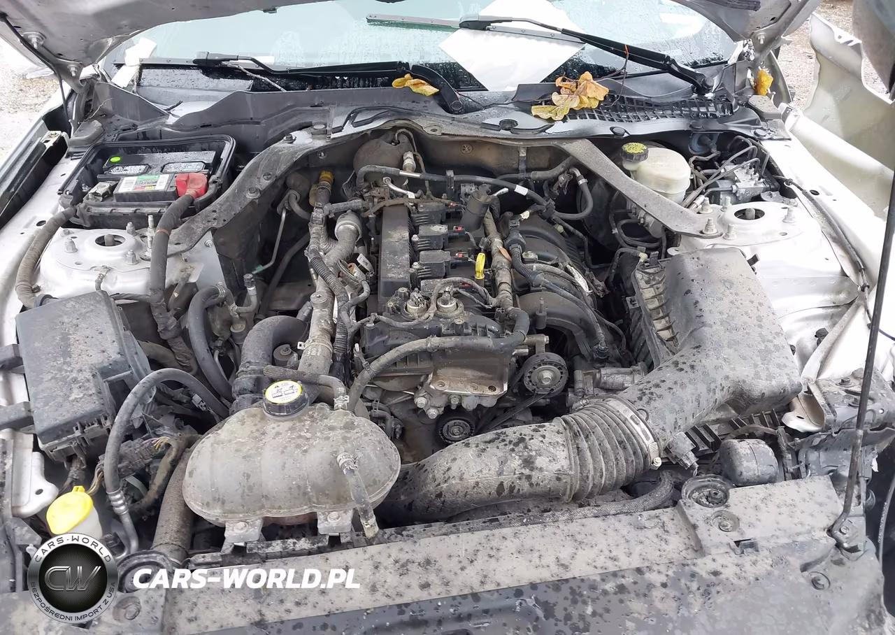 2017 Ford Mustang Ecoboost Premium VIN:1FATP8UH6H5278624 - 10