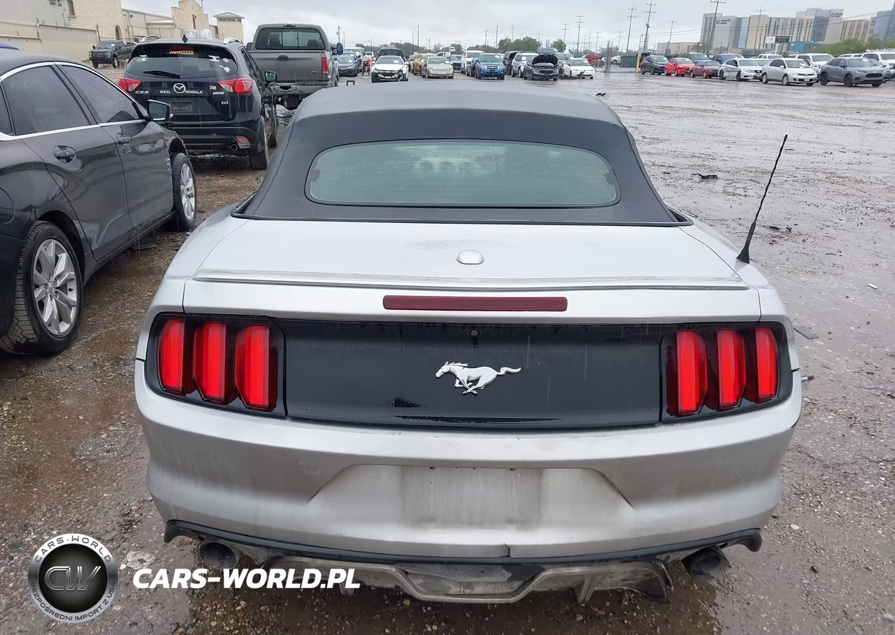 2017 Ford Mustang Ecoboost Premium VIN:1FATP8UH6H5278624 - 15