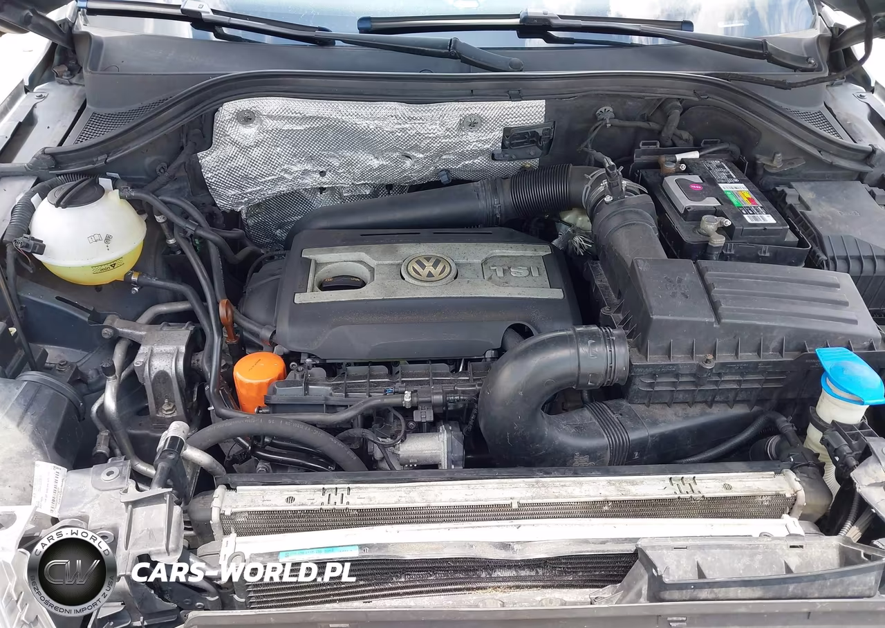 2011 Volkswagen Tiguan Se VIN:WVGAV7AX2BW505463 - 10
