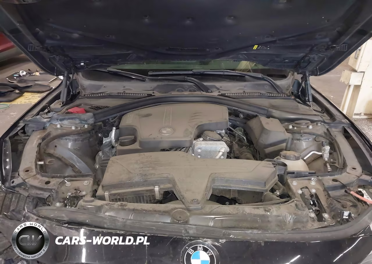 2017 BMW 320I xDrive VIN:WBA8A3C56HK691394 - 10