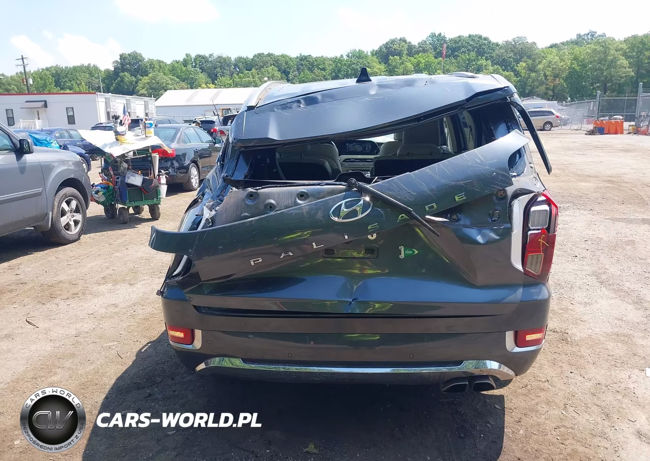 2020 Hyundai Palisade Limited VIN:KM8R54HE9LU088300 - 16