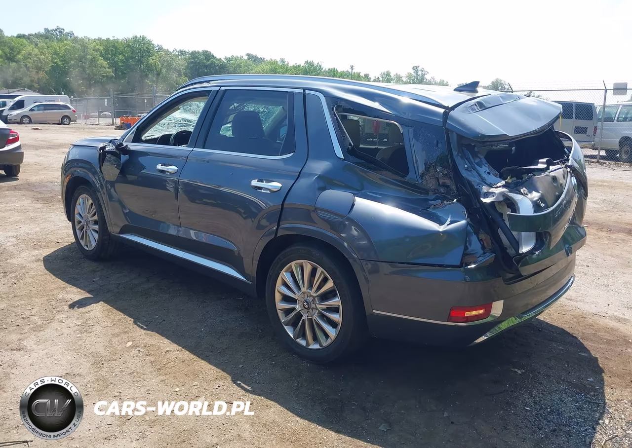 2020 Hyundai Palisade Limited VIN:KM8R54HE9LU088300 - 3