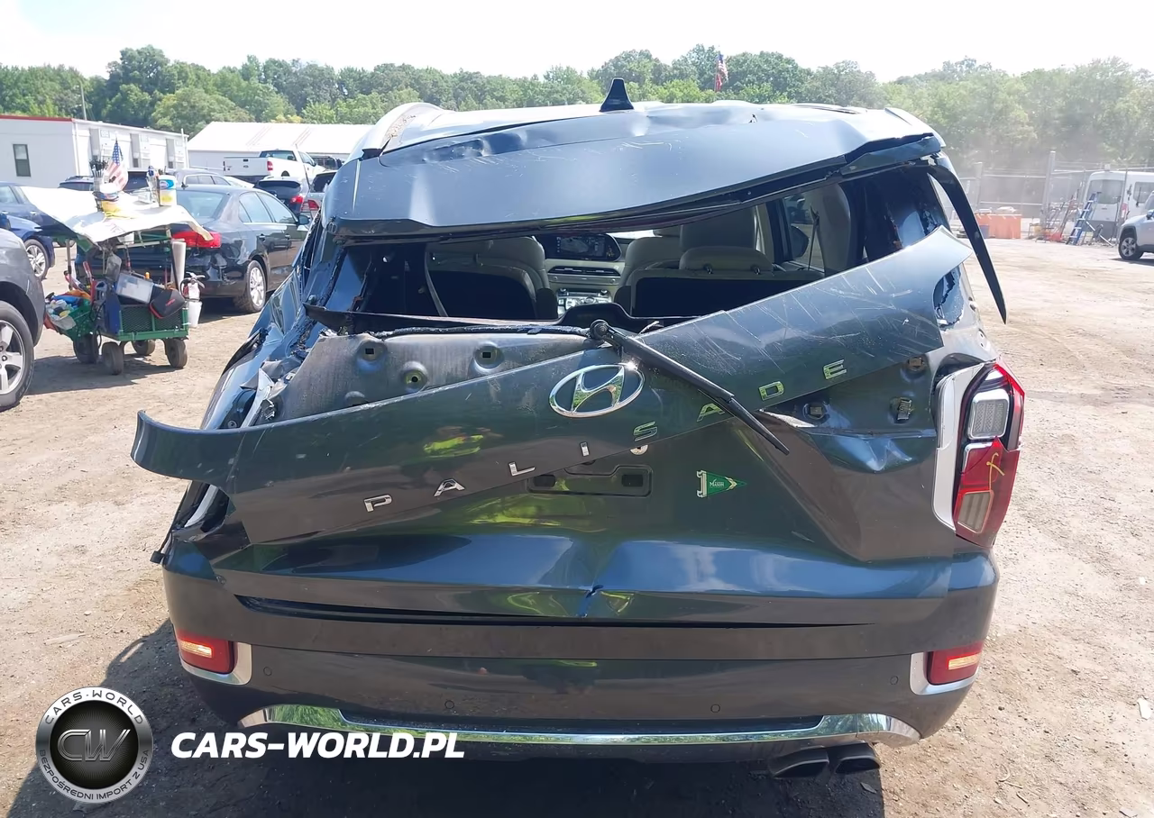 2020 Hyundai Palisade Limited VIN:KM8R54HE9LU088300 - 6