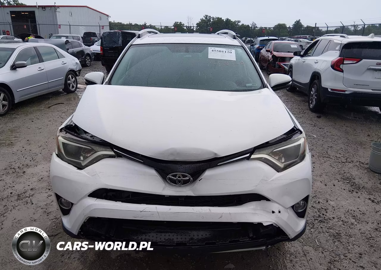 2016 Toyota Rav4 Xle VIN:2T3WFREV2GW255661 - 12