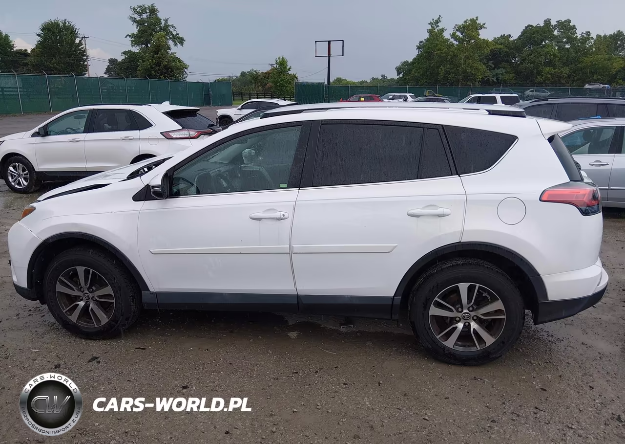 2016 Toyota Rav4 Xle VIN:2T3WFREV2GW255661 - 14