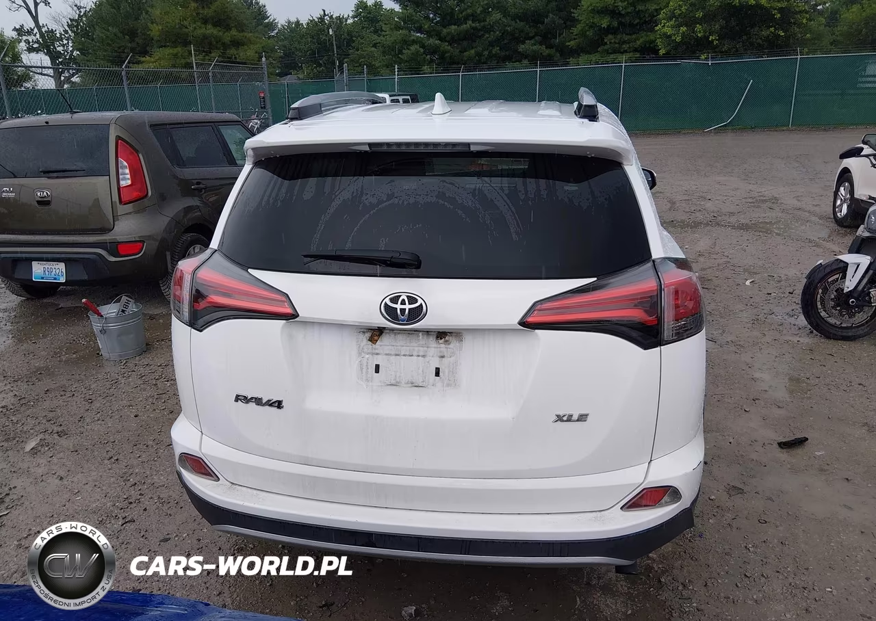 2016 Toyota Rav4 Xle VIN:2T3WFREV2GW255661 - 16