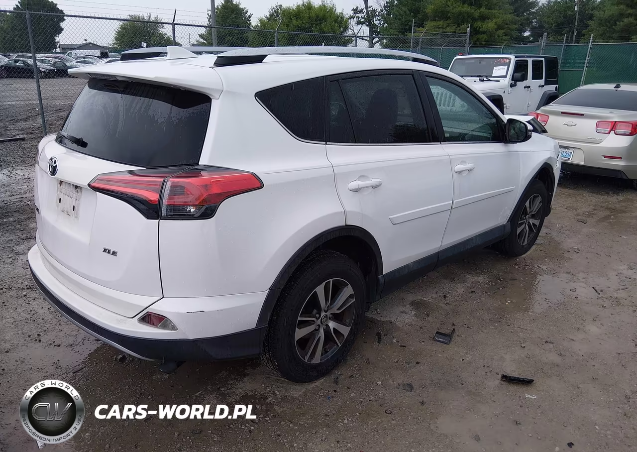 2016 Toyota Rav4 Xle VIN:2T3WFREV2GW255661 - 4