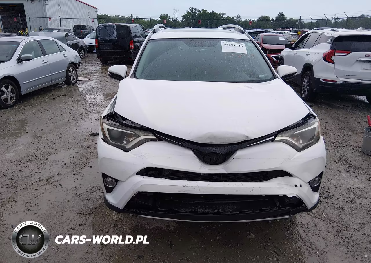 2016 Toyota Rav4 Xle VIN:2T3WFREV2GW255661 - 6