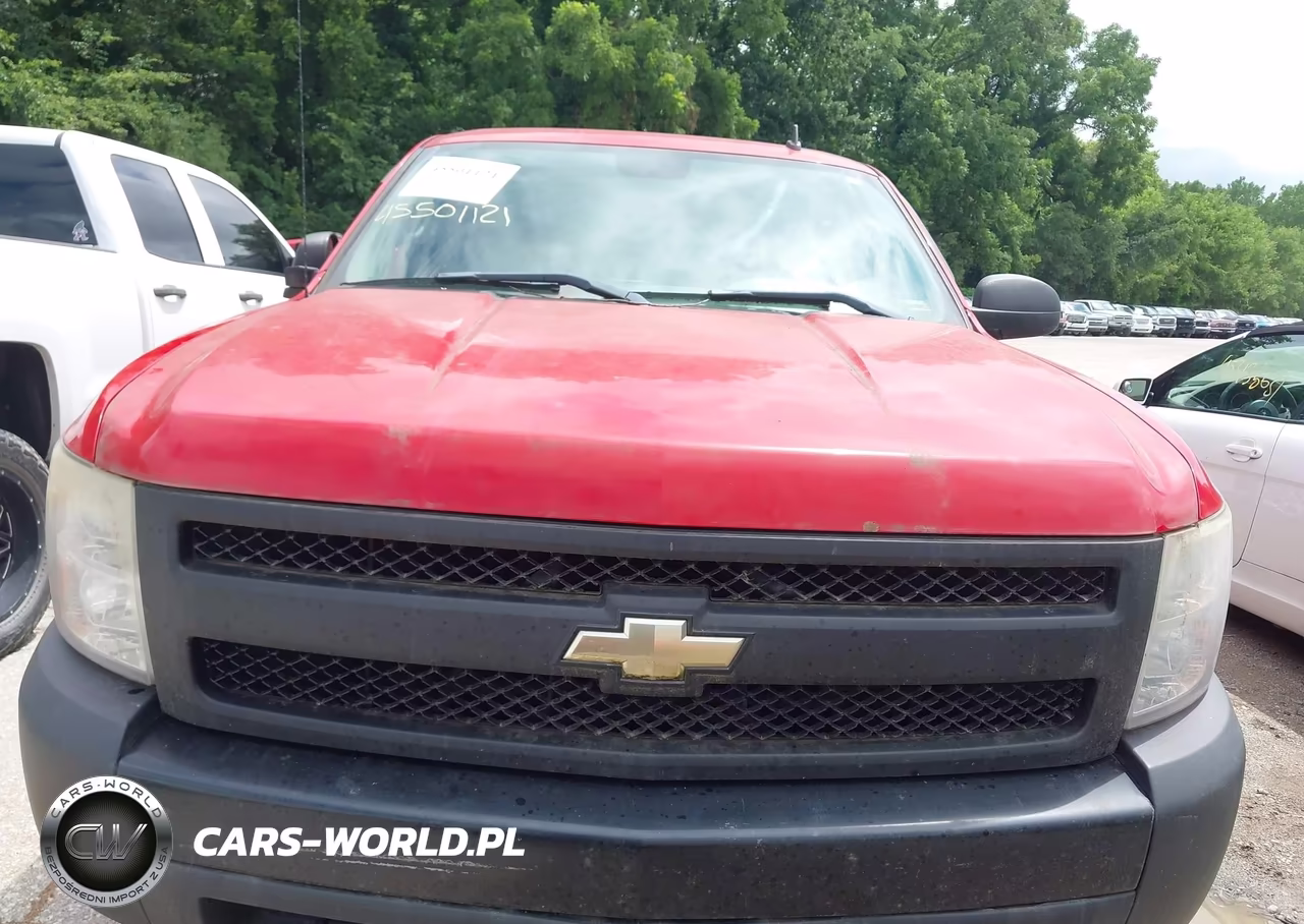 2008 Chevrolet Silverado 1500 Work Truck VIN:1GCEK14XX8Z118965 - 6