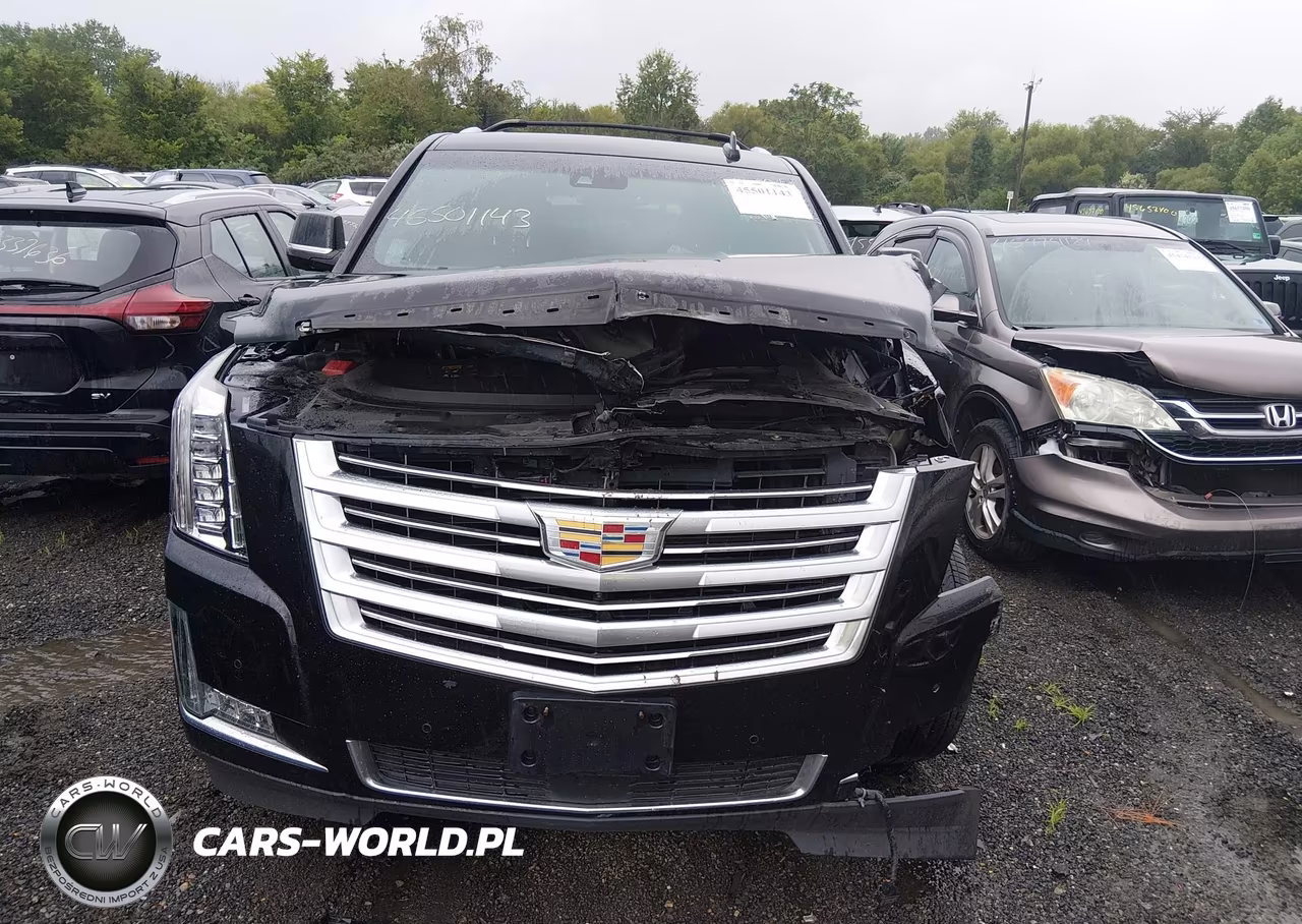 2016 Cadillac Escalade Platinum VIN:1GYS4DKJ4GR462149 - 12