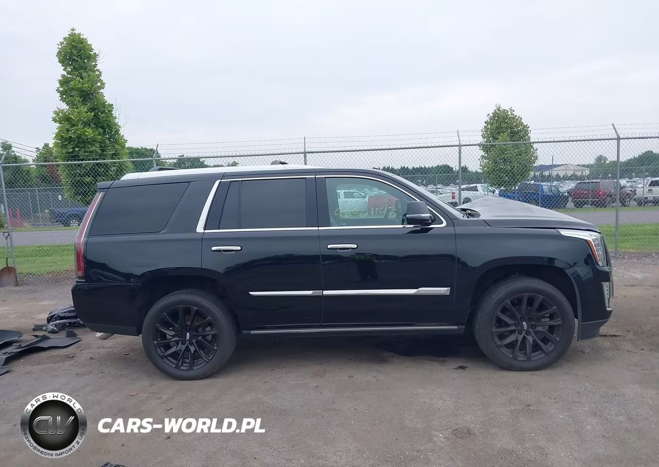 2016 Cadillac Escalade Platinum VIN:1GYS4DKJ4GR462149 - 13