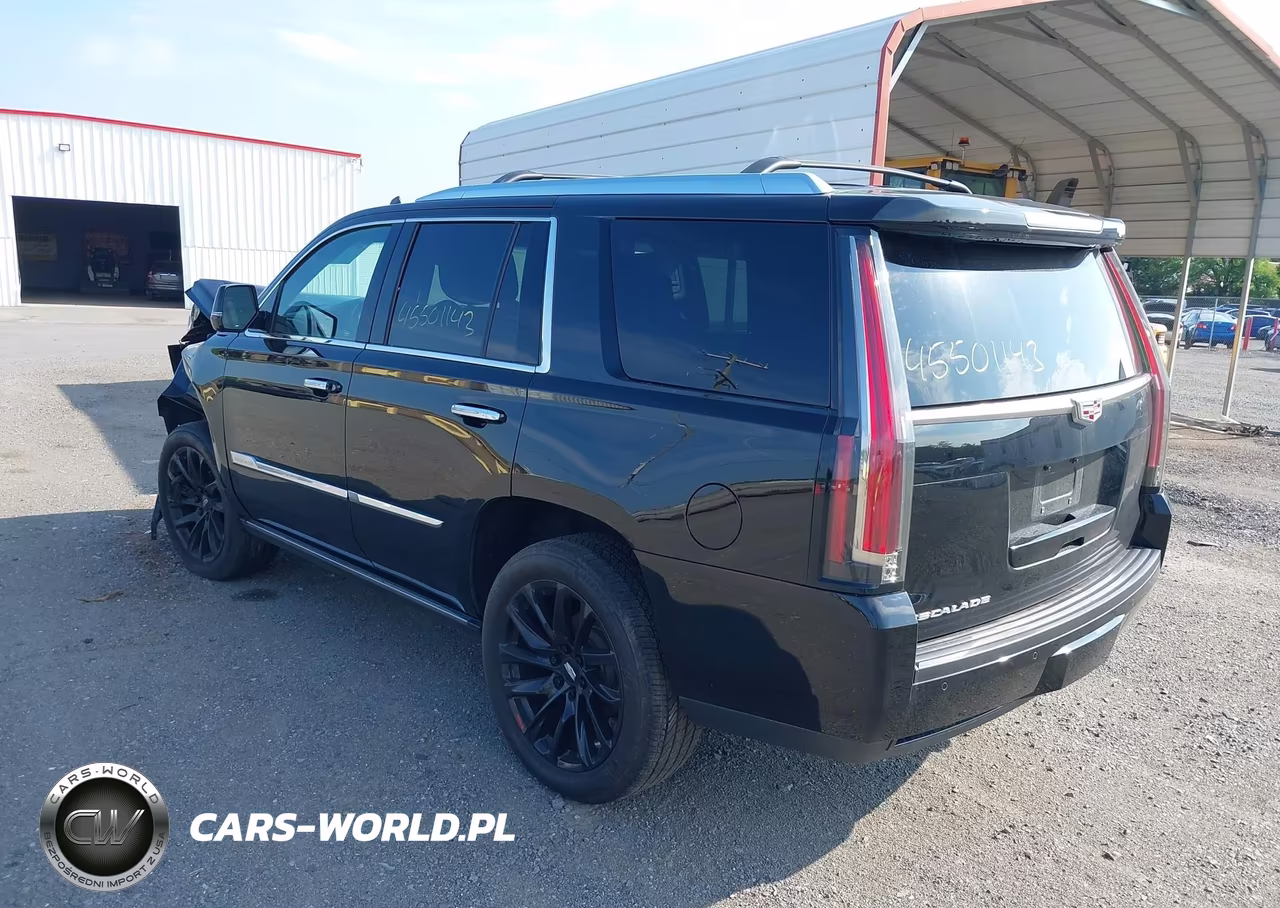 2016 Cadillac Escalade Platinum VIN:1GYS4DKJ4GR462149 - 3