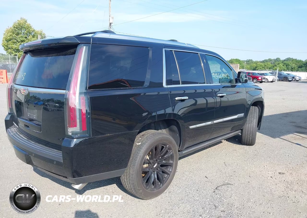 2016 Cadillac Escalade Platinum VIN:1GYS4DKJ4GR462149 - 4