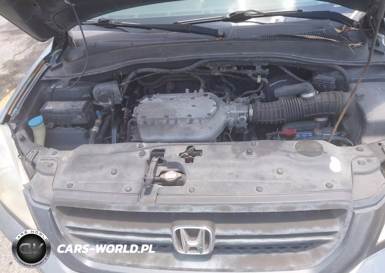 2005 Honda Pilot Ex VIN:5FNYF18495B042917 - 10