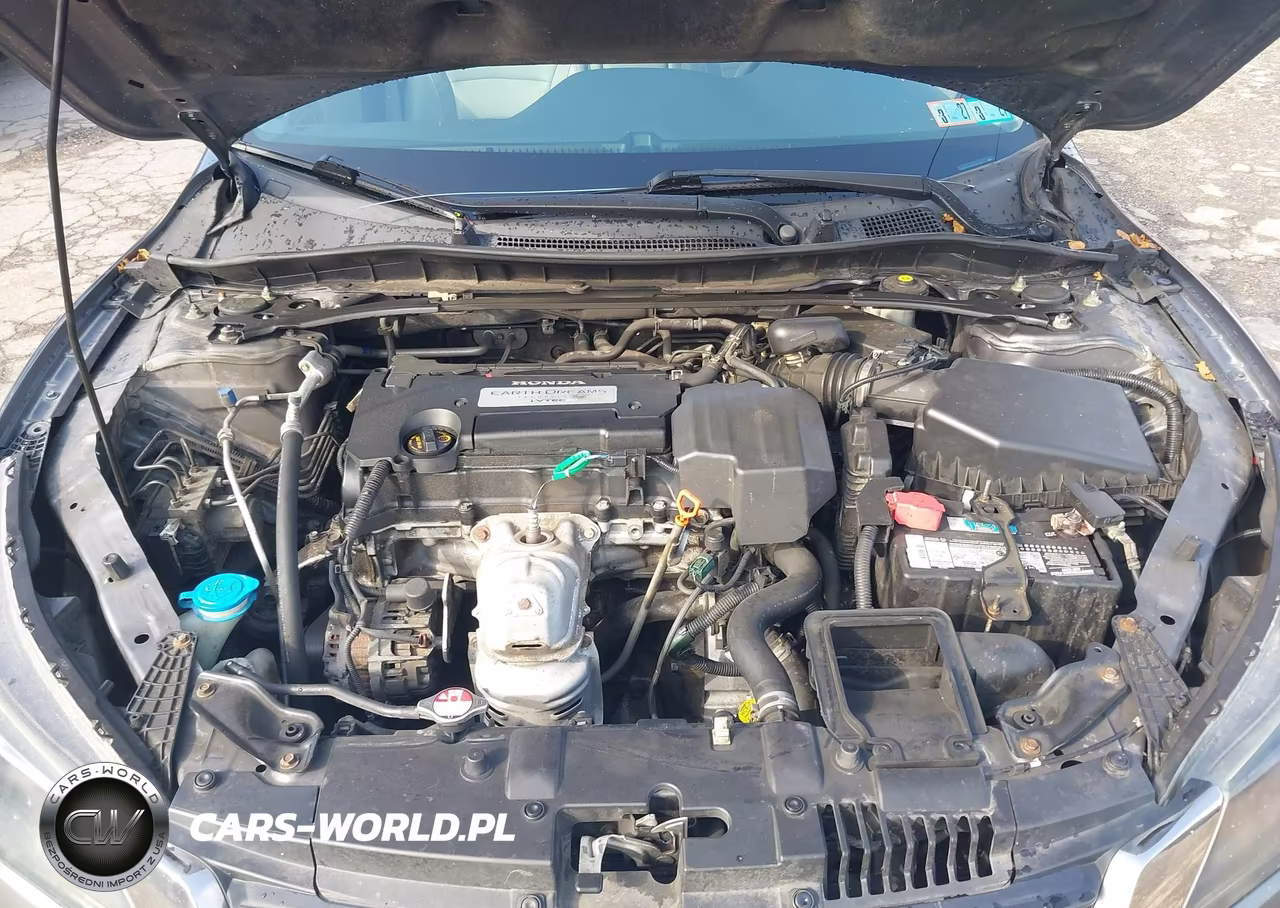 2013 Honda Accord Ex-L VIN:1HGCR2F8XDA092859 - 10