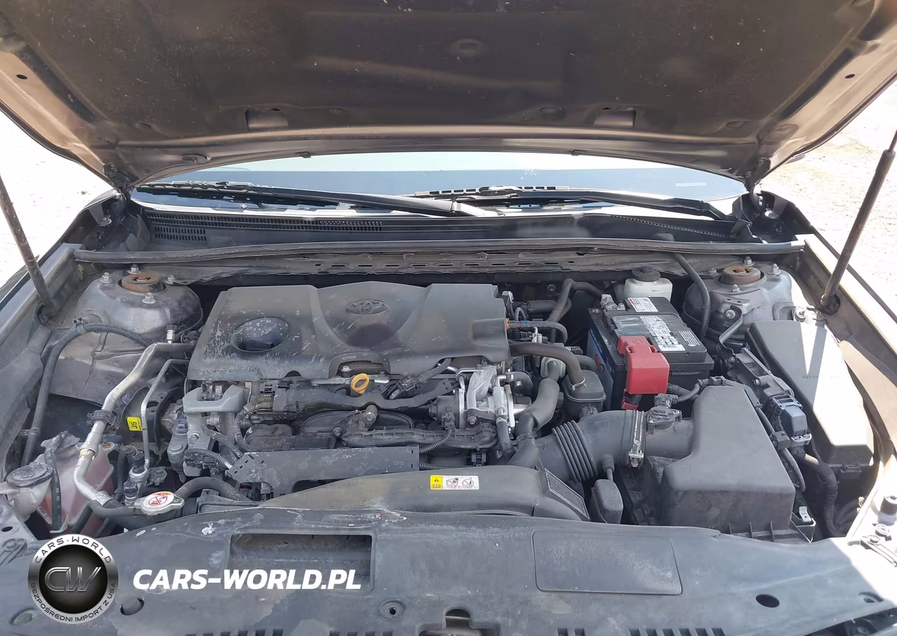 2019 Toyota Camry Se VIN:4T1B11HK8KU854842 - 10
