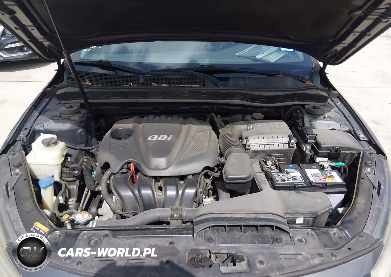 2015 Kia Optima Lx VIN:KNAGM4A79F5626872 - 10