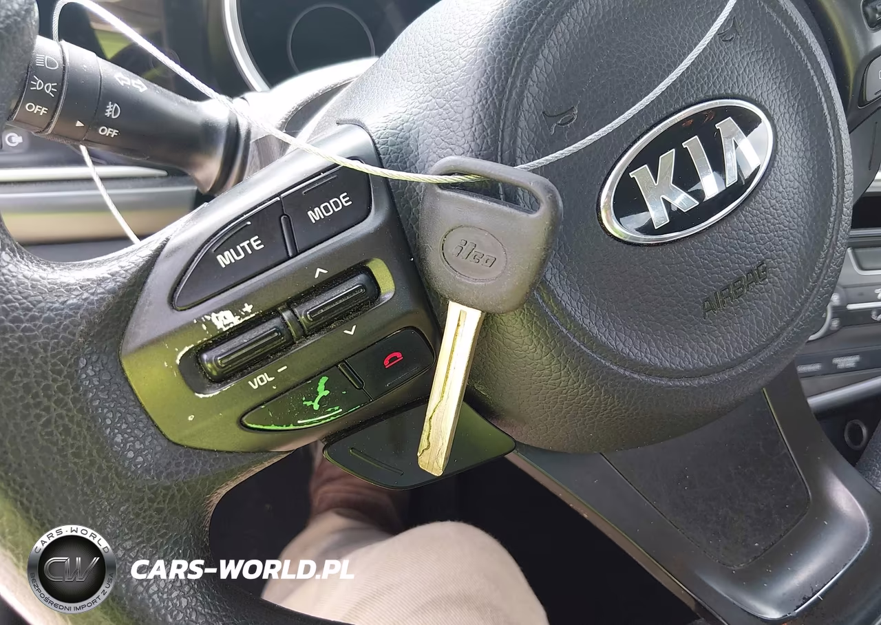 2015 Kia Optima Lx VIN:KNAGM4A79F5626872 - 11