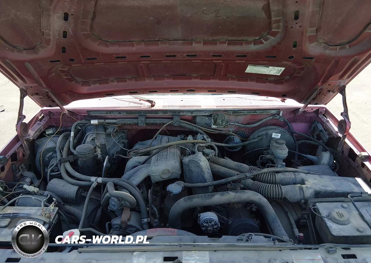1994 Ford F150 VIN:1FTDF15Y6RNB12435 - 10