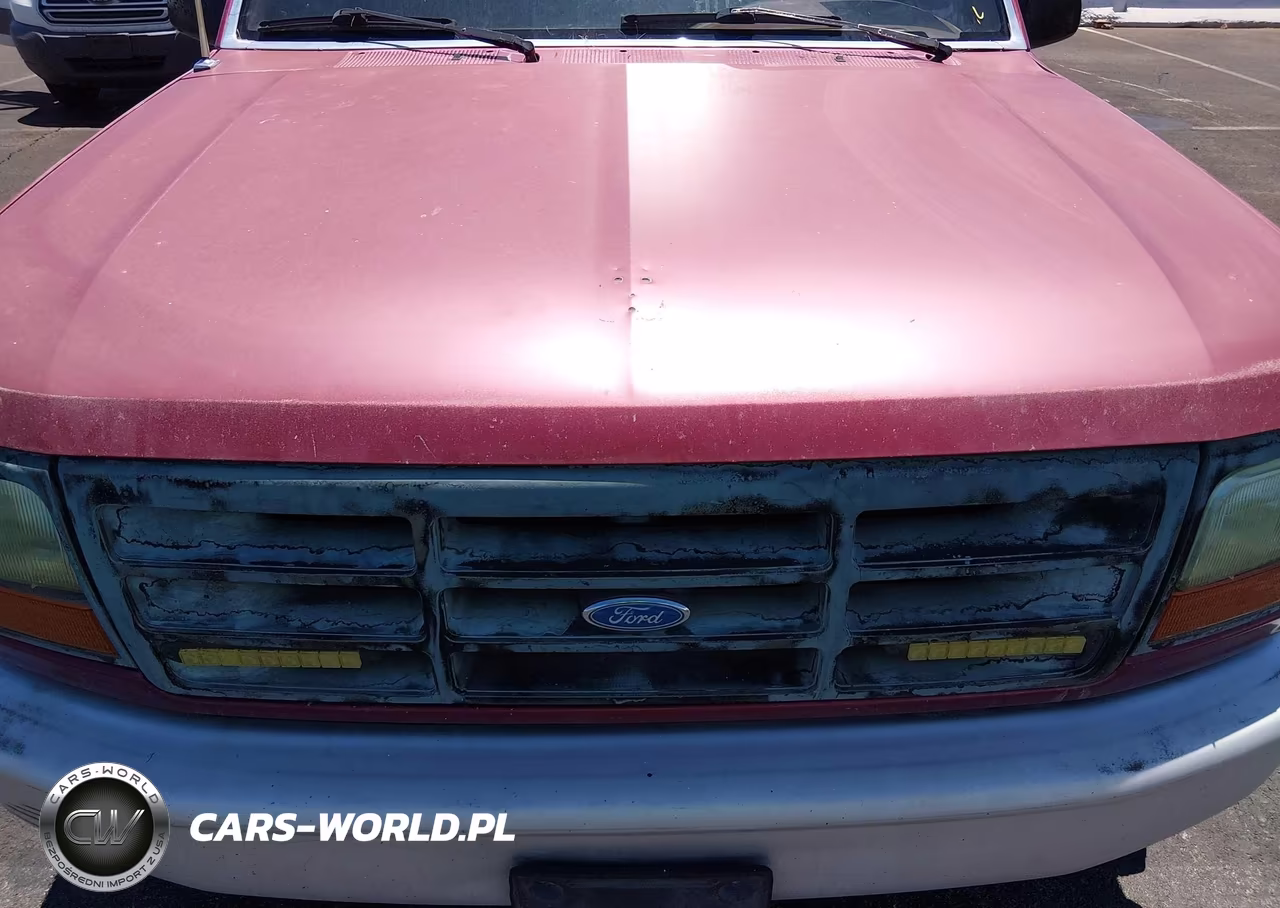 1994 Ford F150 VIN:1FTDF15Y6RNB12435 - 6
